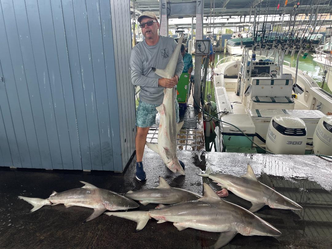 Nearshore Shark Trip Galveston