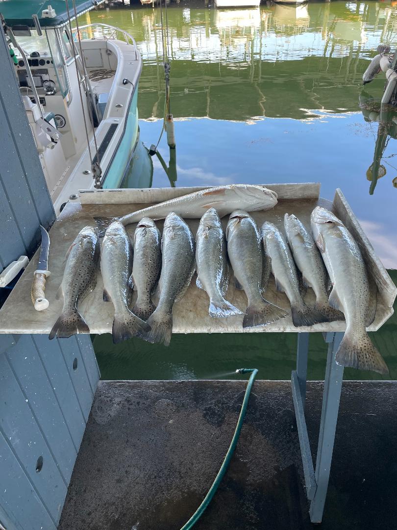 Speckled Trout Redfish Jetty Trip Galveston
