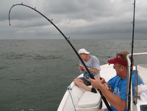 rod-and-reel-fishing-guide
